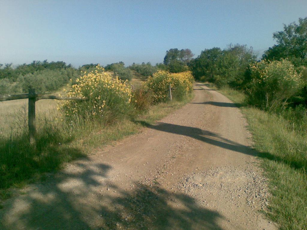 Podere Campovecchio Rapale Екстериор снимка
