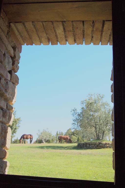 Podere Campovecchio Rapale Стая снимка